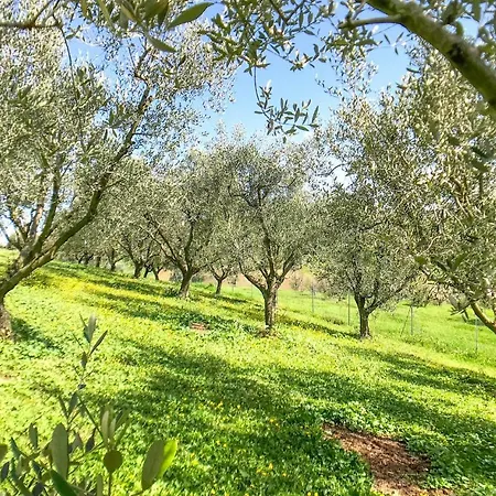 Apartmán Awesome Apartment In Senigallia With Wifi And 3 Bedrooms